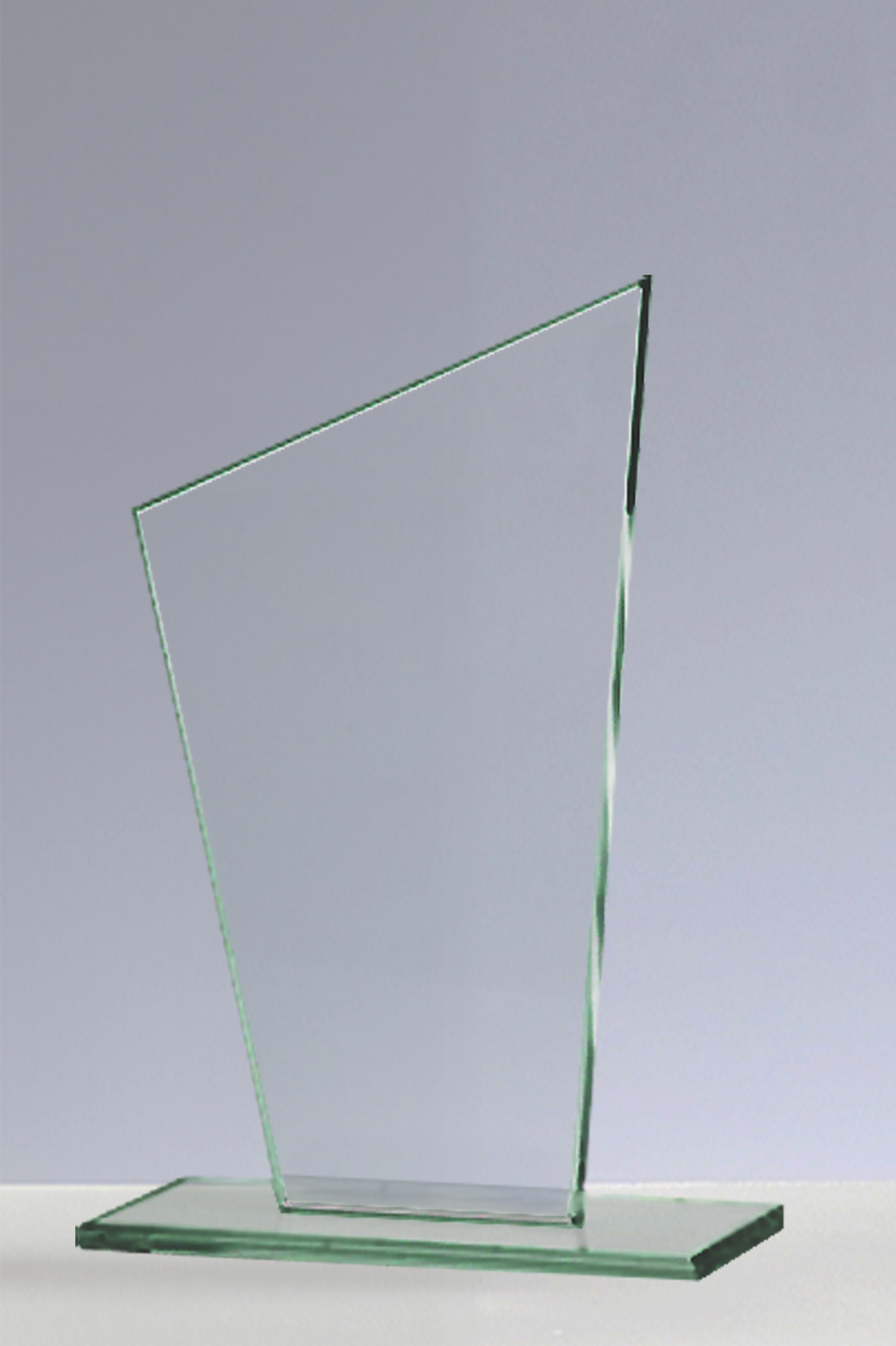 Trofee Sticla GSW 213